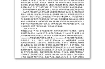 X縣黨組巡視整改專題民主生活會整改方案落實情況報告