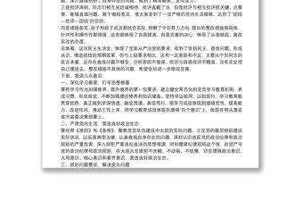 在“不忘初心、牢記使命”主題教育民主生活會上的點評講話