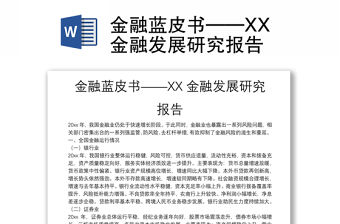 金融藍皮書——XX金融發展研究報告