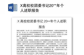 X高校校團委書記20**年個人述職報告