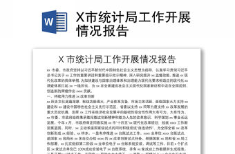 X市統計局工作開展情況報告