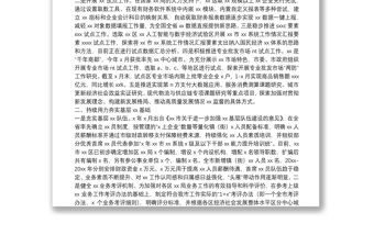 X市統計局工作開展情況報告