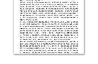 市委巡察問題整改工作成效及經驗（鎮）