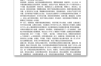 市委巡察問題整改工作成效及經(jīng)驗(yàn)（鎮(zhèn)）