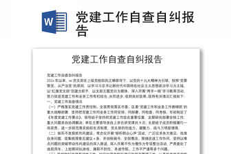 黨建工作自查自糾報告