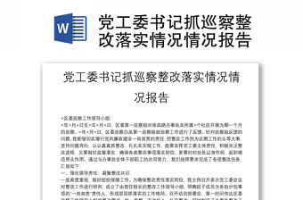 黨工委書記抓巡察整改落實情況情況報告