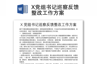 X黨組書記巡察反饋整改工作方案