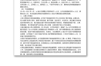 公司巡視巡察組織人事工作匯報