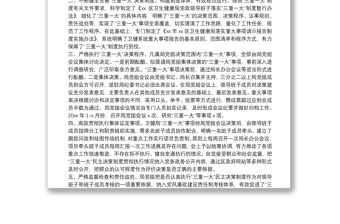 區衛生健康局關于開展規范“三重一大”決策制度執行情況專項整治的自查報告