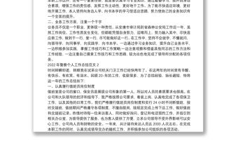 2022年警察個人工作總結范文四篇