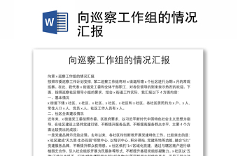 向巡察工作組的情況匯報
