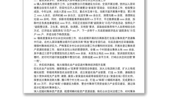 XX鎮落實鄉村振興重點項目工作匯報