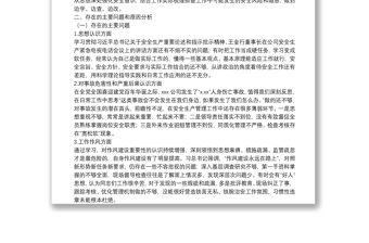 安全生產(chǎn)專題民主生活會(huì)副職個(gè)人對(duì)照檢查材料