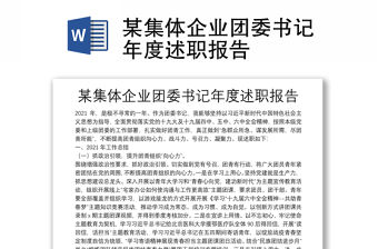 某集體企業團委書記年度述職報告