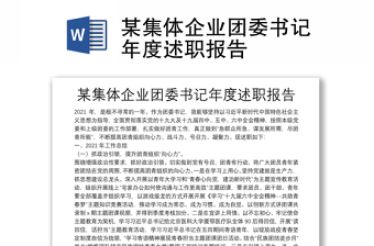 某集體企業(yè)團委書記年度述職報告