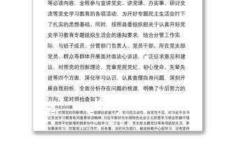 黨員干部黨史學(xué)習(xí)教育專題組織生活會“四個方面”個人對照檢查材料 3