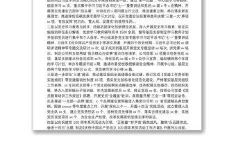 國企公司黨委2022年黨建工作報告（黨的建設）