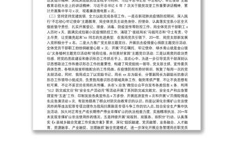 X縣應急管理局黨組20**年黨建工作總結