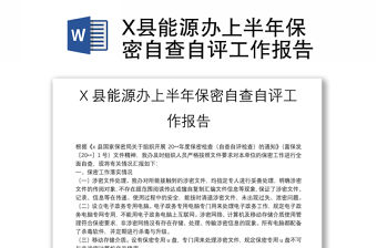 X縣能源辦上半年保密自查自評工作報告