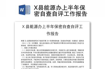 X縣能源辦上半年保密自查自評(píng)工作報(bào)告