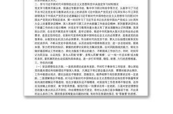 XX鄉(xiāng)鎮(zhèn)領(lǐng)導(dǎo)黨史學(xué)習(xí)教育專題組織生活會檢視剖析材料