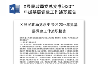 X縣民政局黨總支書記20**年抓基層黨建工作述職報告