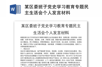 某区委班子党史学习教育专题民主生活会个人发言材料