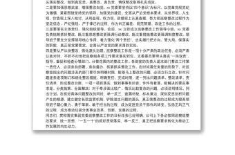 黨委書記X同志代表領導班子在反饋會上的表態發言