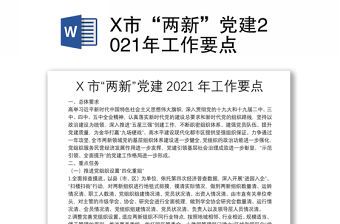 X市“兩新”黨建2021年工作要點