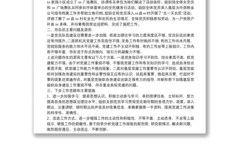 市檔案局機(jī)關(guān)黨支部書記抓基層黨建工作述職報(bào)告