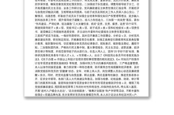 20**年度述責(zé)述廉述職述法報(bào)告