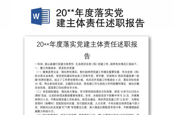 20**年度落實黨建主體責任述職報告