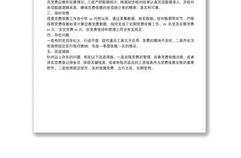 黨支部黨費自查自糾情況報告