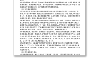 鎮(zhèn)黨委20**年上半年黨建工作述職報告