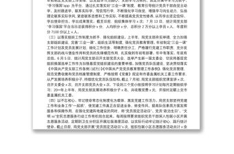 市統計局黨支部20**年上半年工作總結