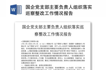 國(guó)企黨支部主要負(fù)責(zé)人組織落實(shí)巡察整改工作情況報(bào)告