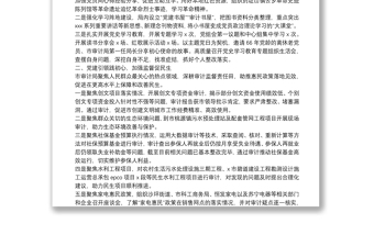 黨建品牌創(chuàng)建工作材料：著力建設“經(jīng)濟衛(wèi)士審計先鋒”黨建品牌（市審計局）