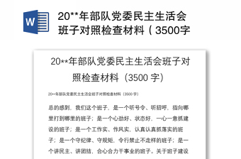 20**年部隊黨委民主生活會班子對照檢查材料（3500字）