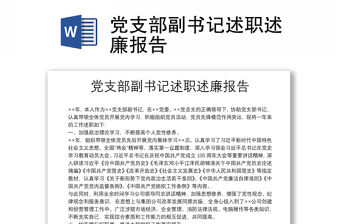 黨支部副書記述職述廉報告