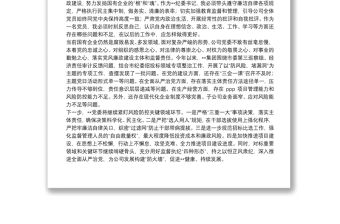 某公司法紀警示教育活動體會及做法匯報發言