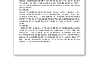 安全生產(chǎn)整治專項行動報告