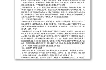 某公司團委書記2021年述職報告