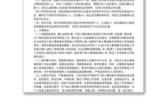 干部人事檔案專項審核工作總結報告