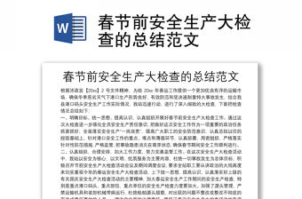 春節前安全生產大檢查的總結范文
