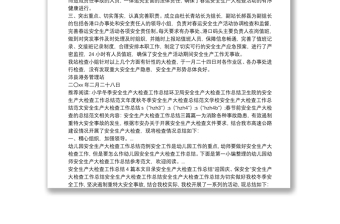 春節(jié)前安全生產大檢查的總結范文