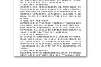 領導干部政治表現情況報告