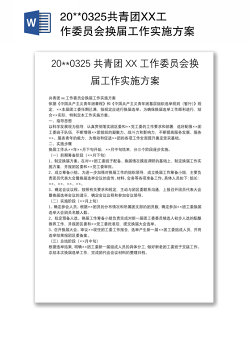 20**0325共青团XX工作委员会换届工作实施方案