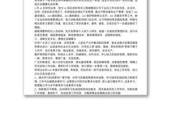 X公司項目部負責人述職報告