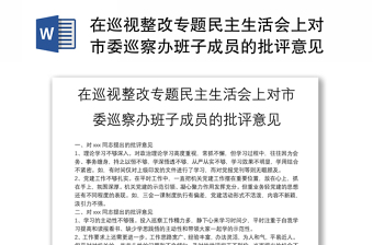 2022给支部统战委员提批评意见