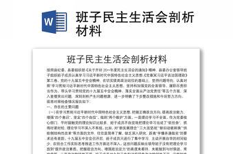 班子民主生活會剖析材料